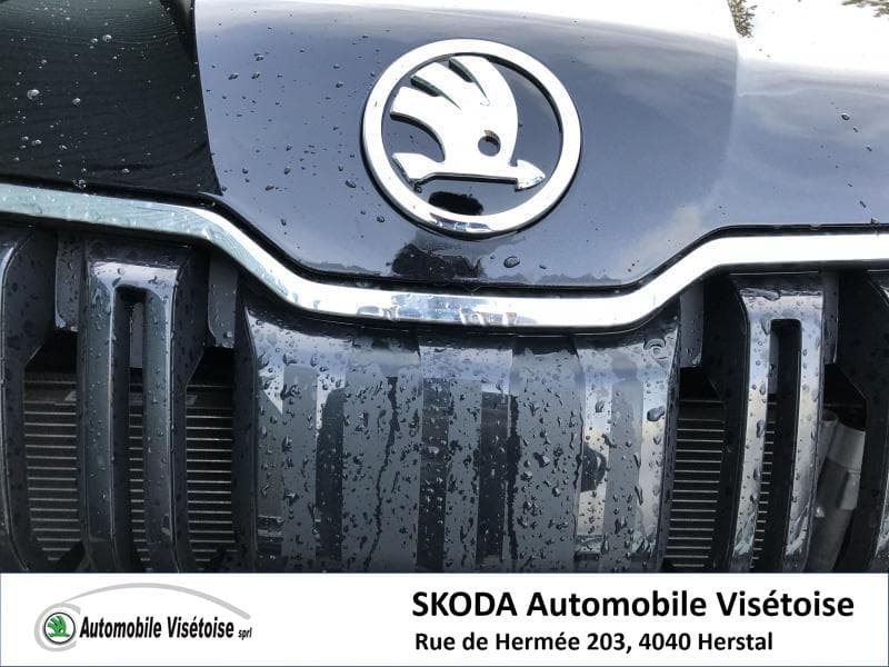 Skoda Kodiaq Style - 9