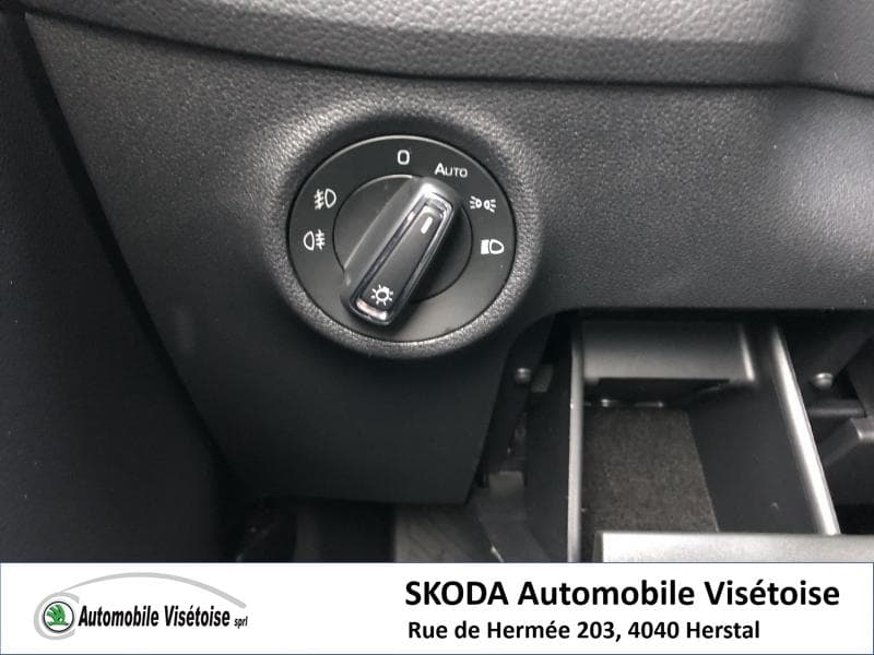 Skoda Kodiaq Style - 20