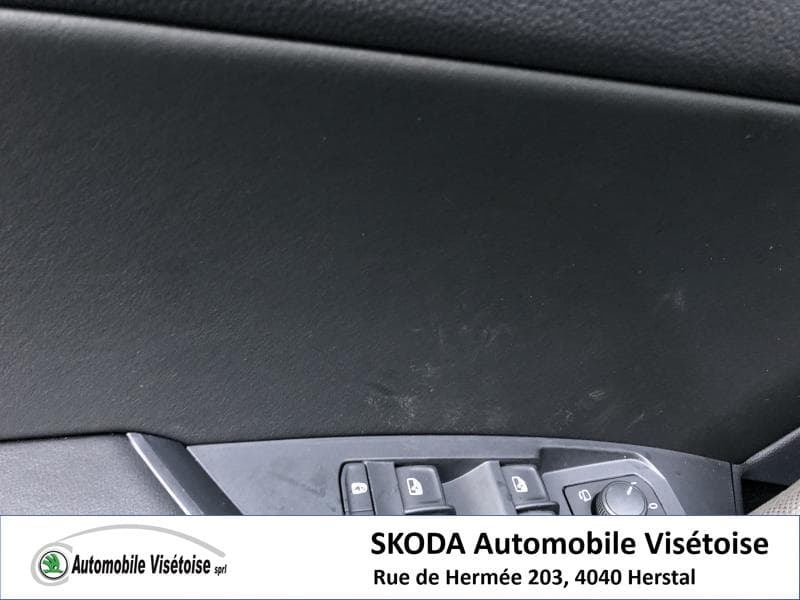 Skoda Kodiaq Style - 19