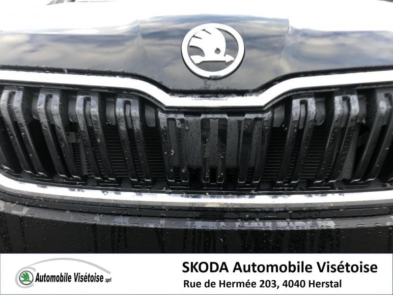 Skoda Kamiq Ambition - 10