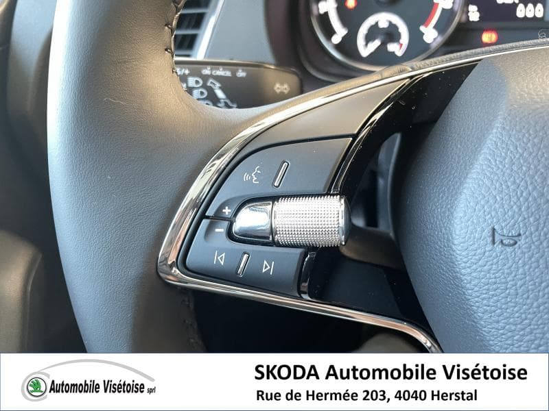 Skoda Fabia III Ambition - 13