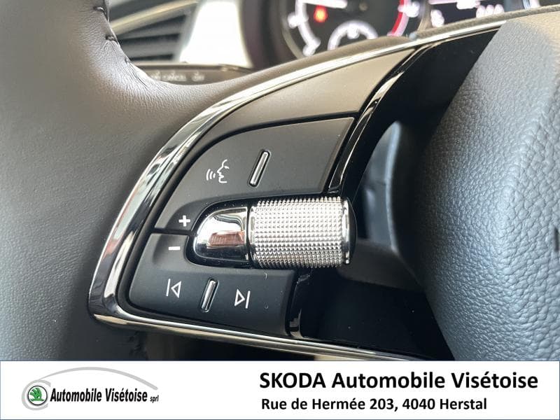 Skoda Fabia III Ambition - 13