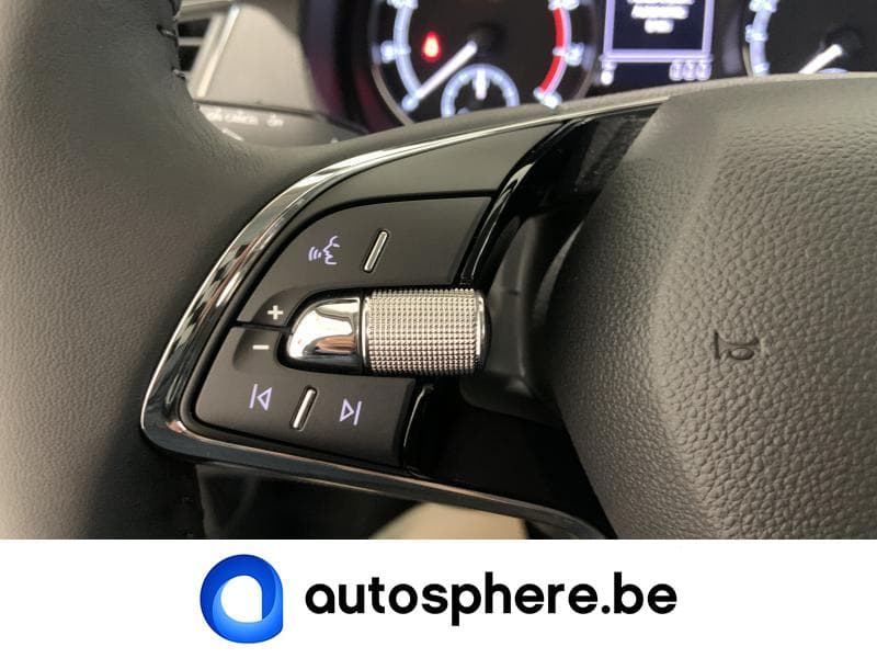 Skoda Fabia Combi Ambition GPS/Cruise - 17