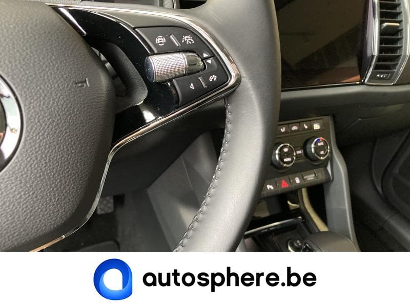 Skoda Kodiaq Clever + - 18