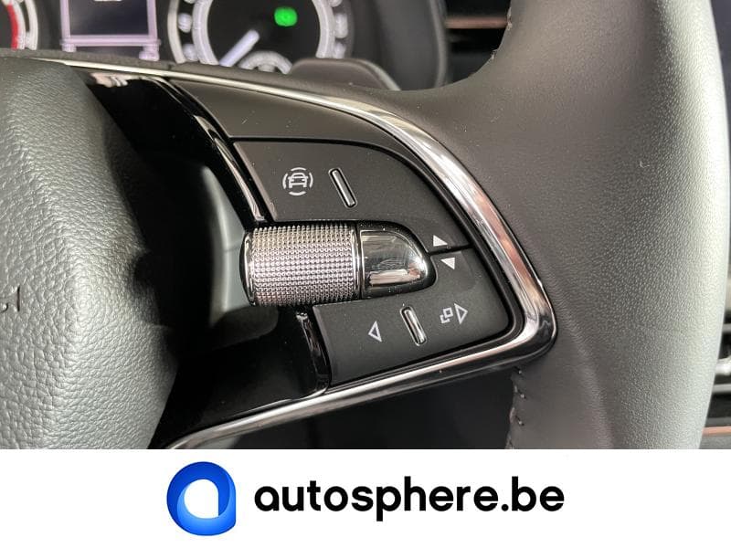 Skoda Kamiq Style 1.0TSi 110cv DSG - 21