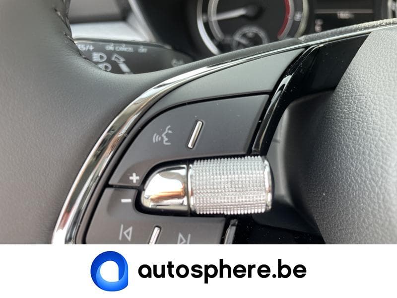 Skoda Fabia Ambition - 14