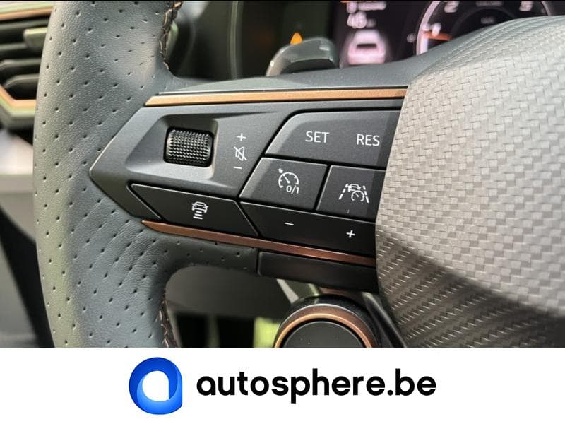 Cupra Formentor VZ 310CV GRIS MAT - 32