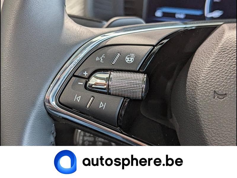 Skoda Kodiaq Style - 17